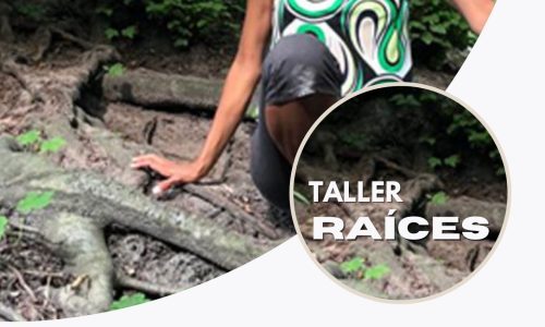 Taller Raíces